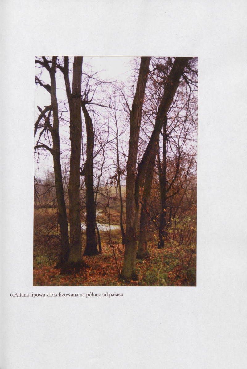 EP - Ewidencja parkowa, skan nr 32