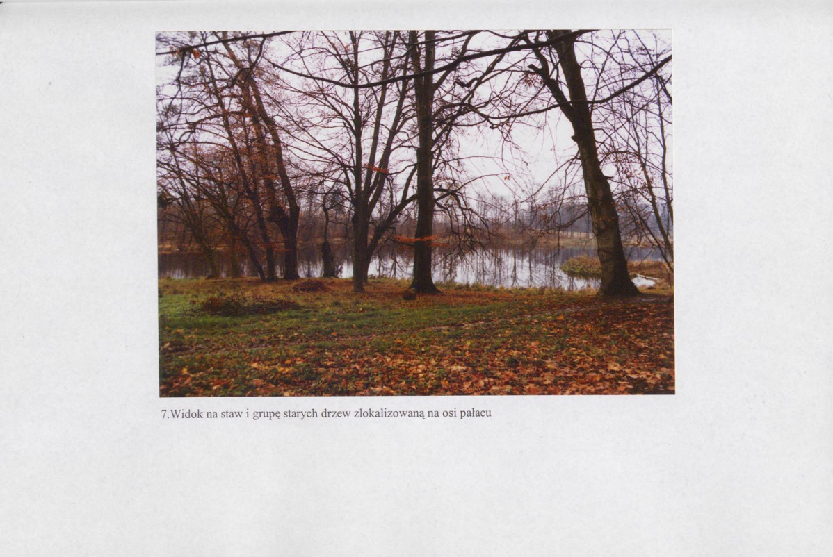 EP - Ewidencja parkowa, skan nr 33