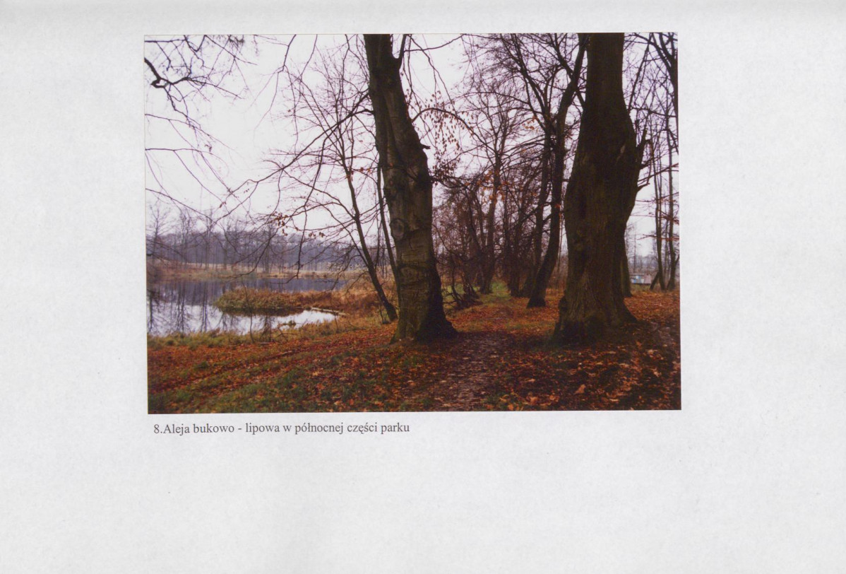 EP - Ewidencja parkowa, skan nr 34