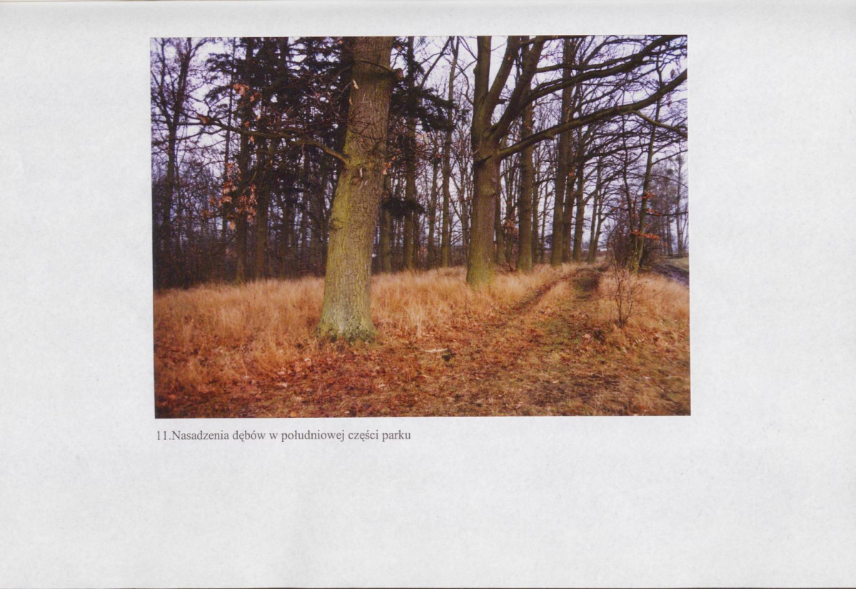 EP - Ewidencja parkowa, skan nr 37