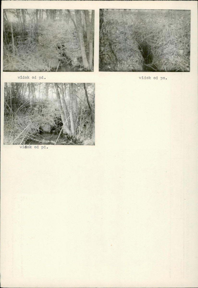 KB - Karta biała, skan nr 10