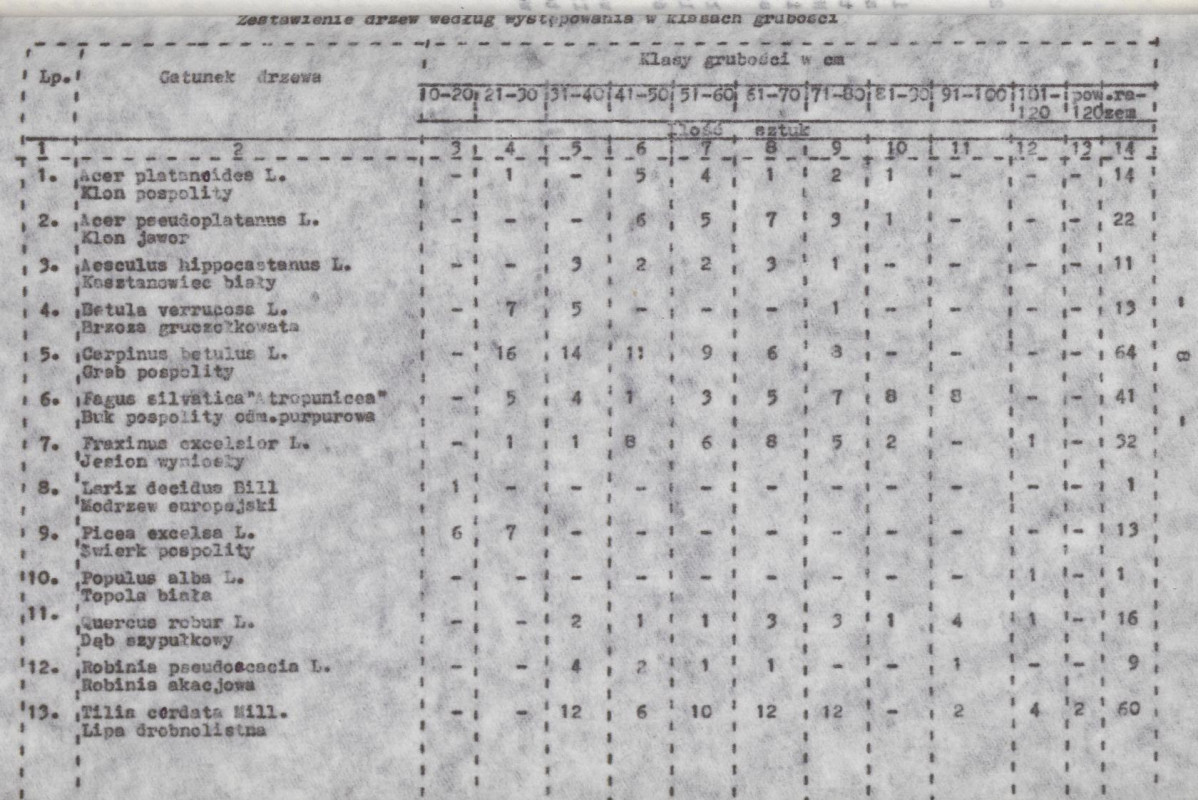 Ewidencja parkowa, skan nr 17