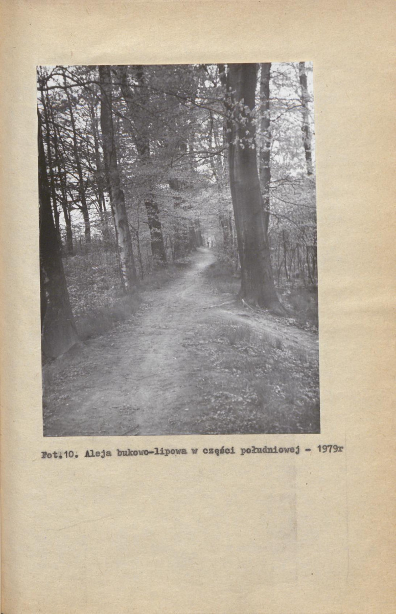 Ewidencja parkowa, skan nr 29