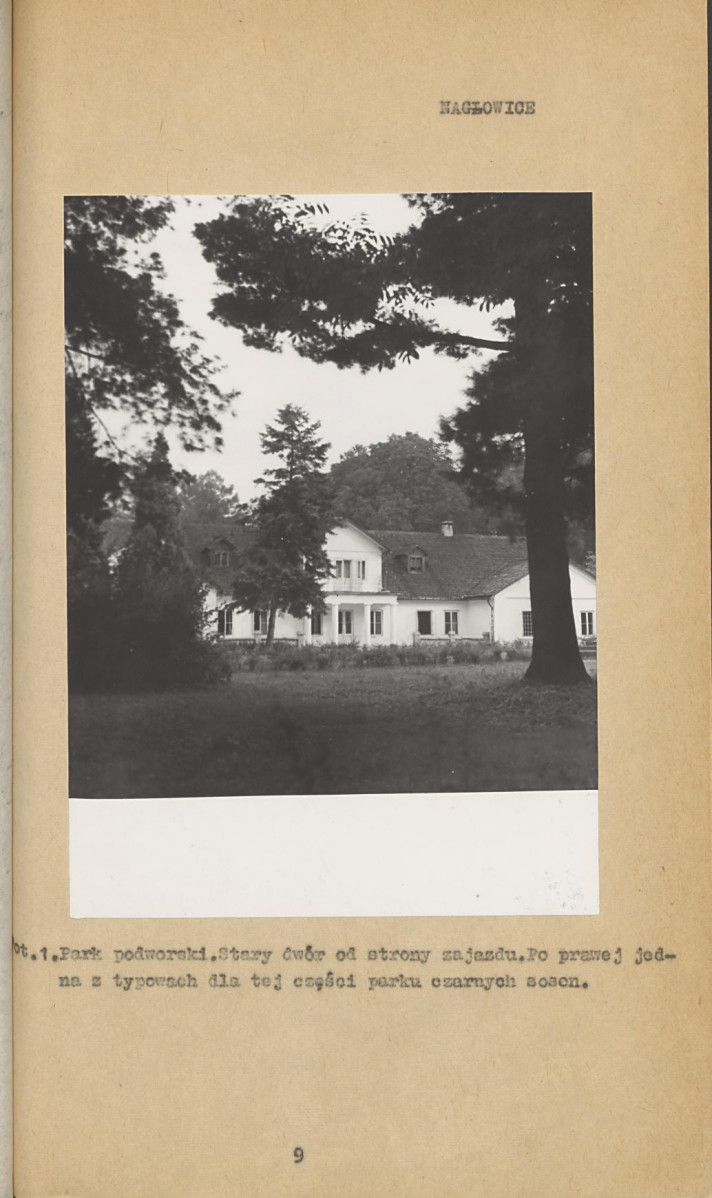 Ewidencja parkowa, skan nr 15