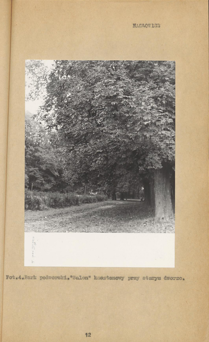 Ewidencja parkowa, skan nr 18