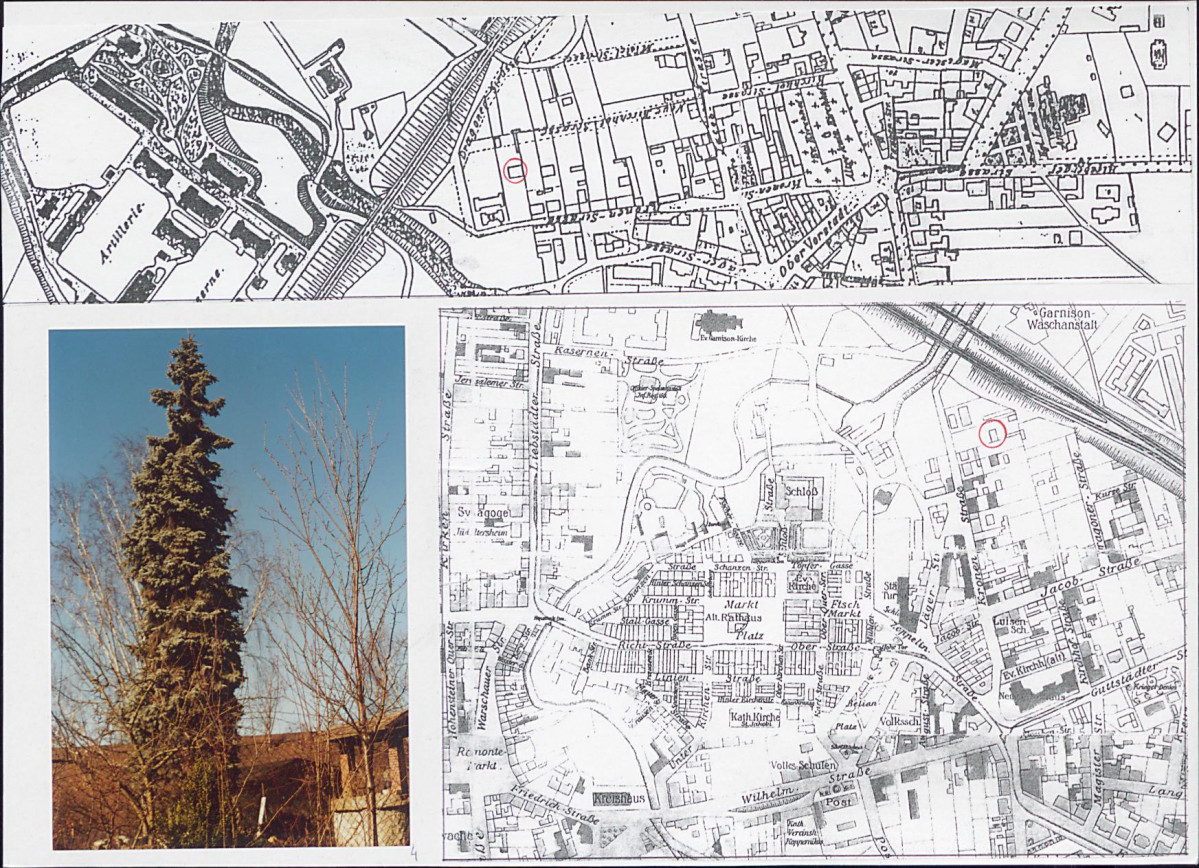 KB - Karta biała, skan nr 6