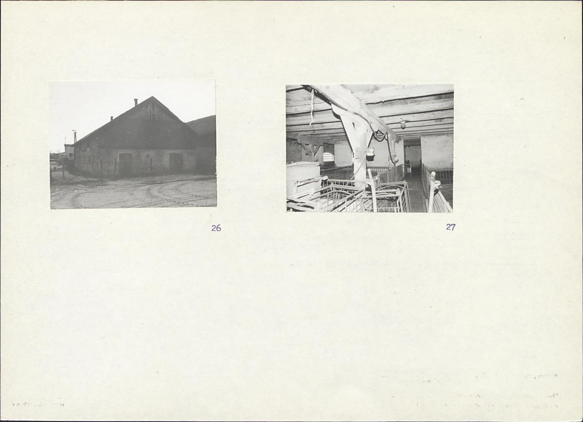 Karta biała, skan nr 18