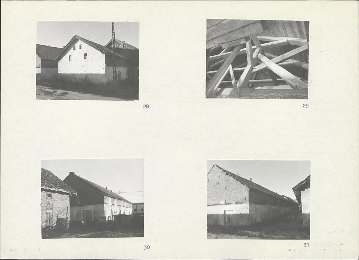 Karta biała, skan nr 20