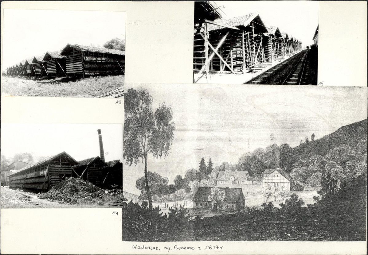 Karta biała, skan nr 16