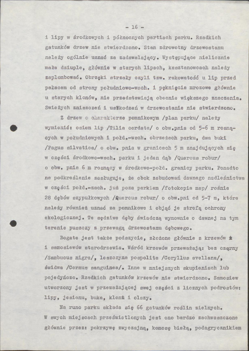 Ewidencja parkowa, skan nr 20