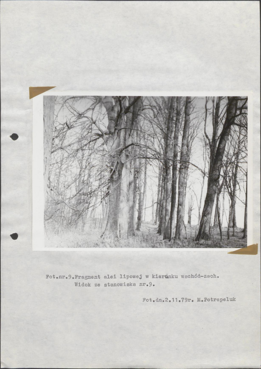 Ewidencja parkowa, skan nr 42