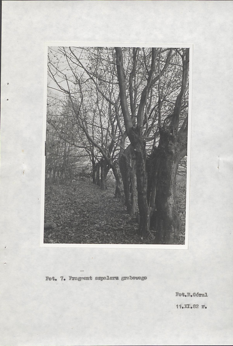 Ewidencja parkowa, skan nr 29