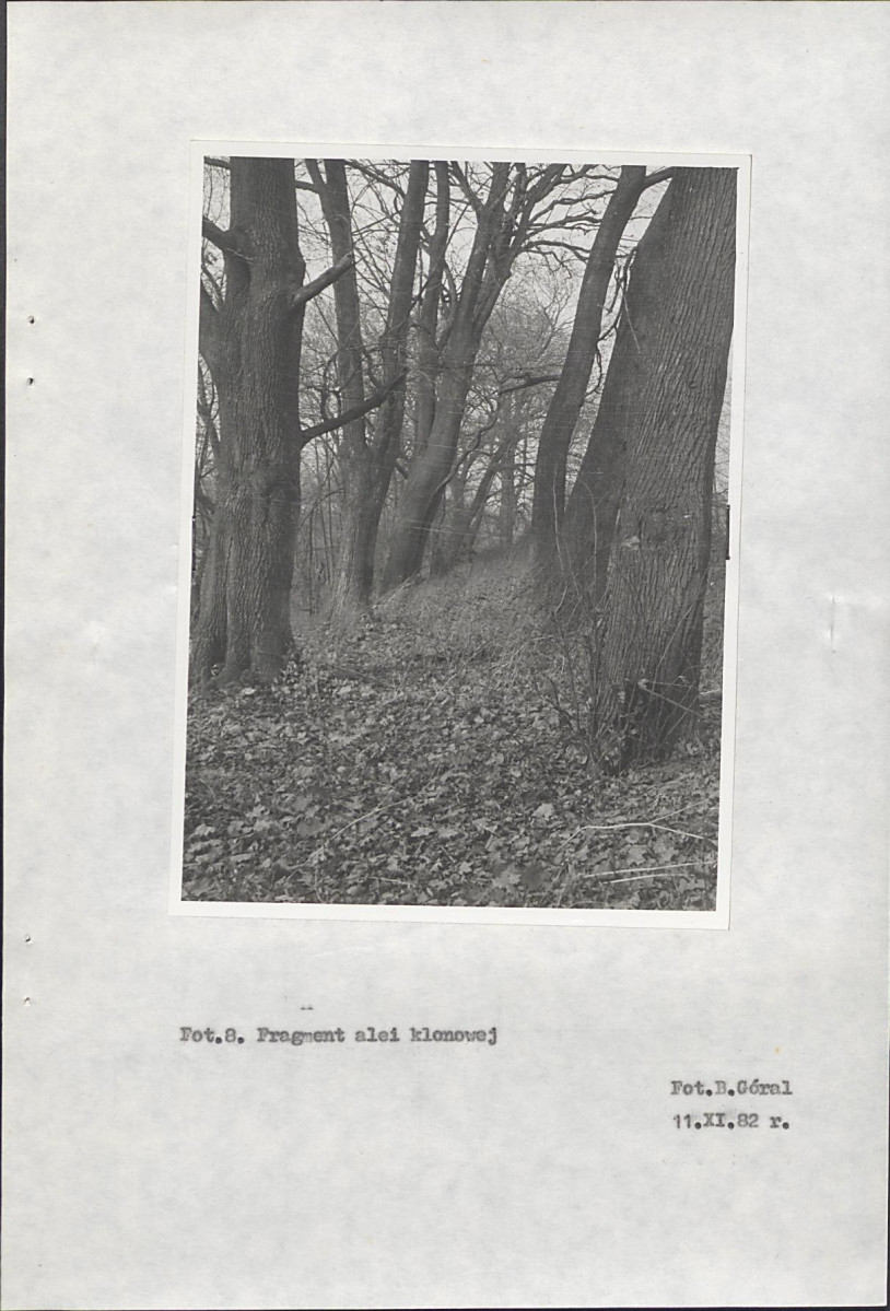 Ewidencja parkowa, skan nr 30