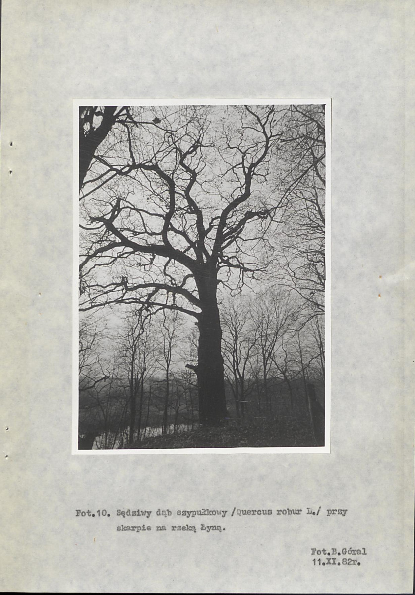 Ewidencja parkowa, skan nr 32