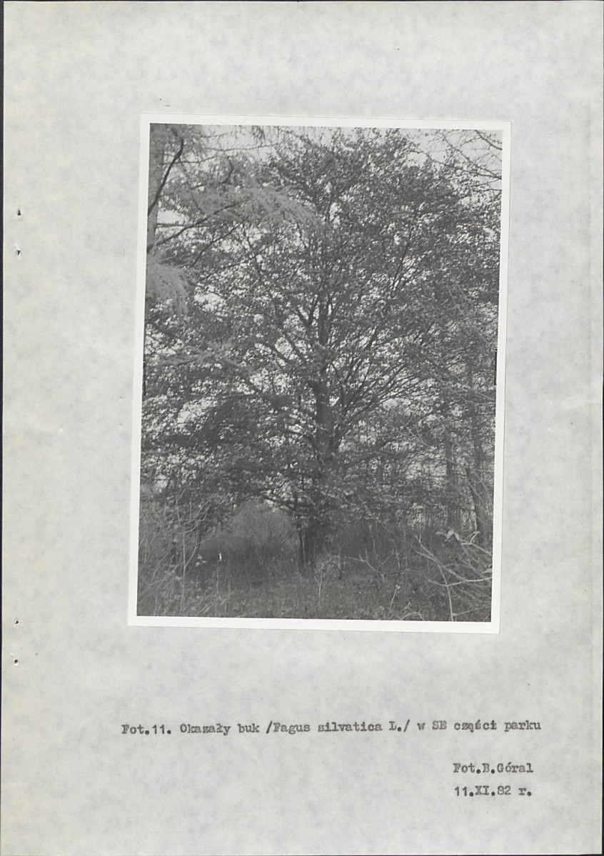 Ewidencja parkowa, skan nr 33