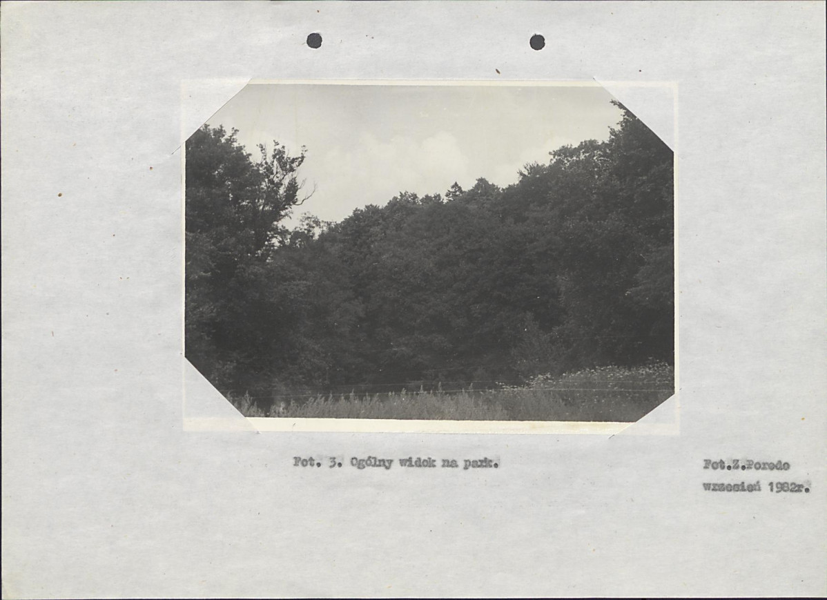 Ewidencja parkowa, skan nr 17