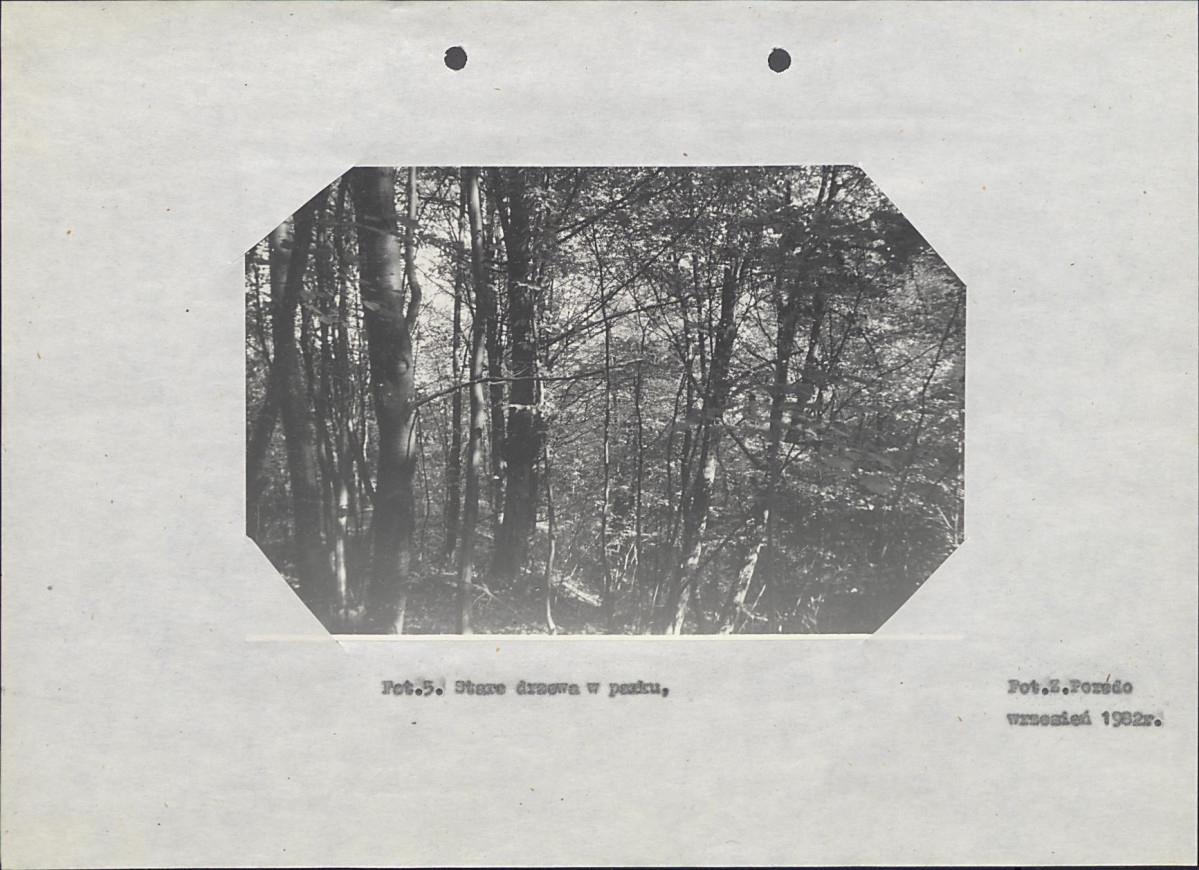 Ewidencja parkowa, skan nr 19