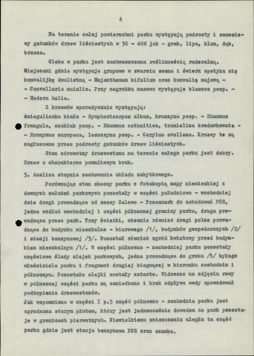 Ewidencja parkowa, skan nr 11