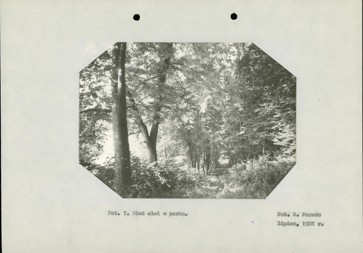 Ewidencja parkowa, skan nr 20