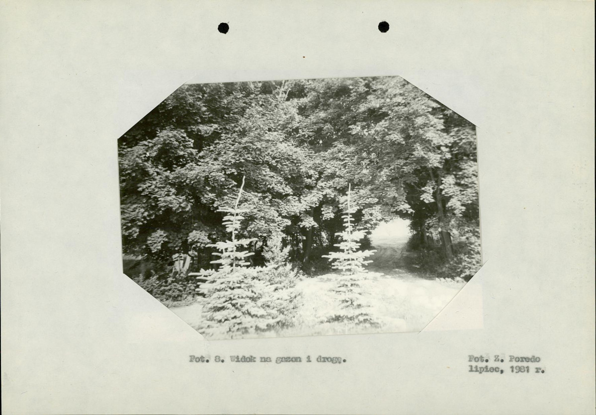 Ewidencja parkowa, skan nr 21