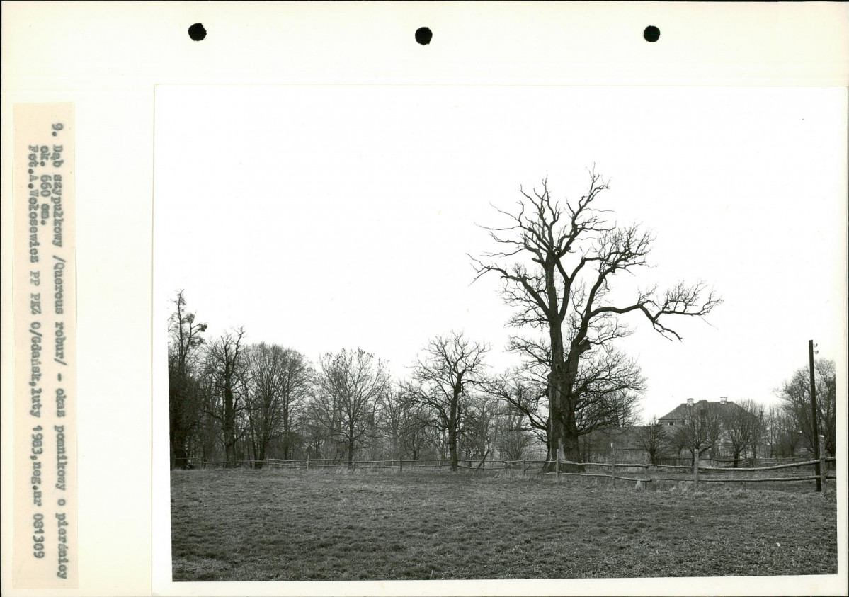 Ewidencja parkowa, skan nr 26