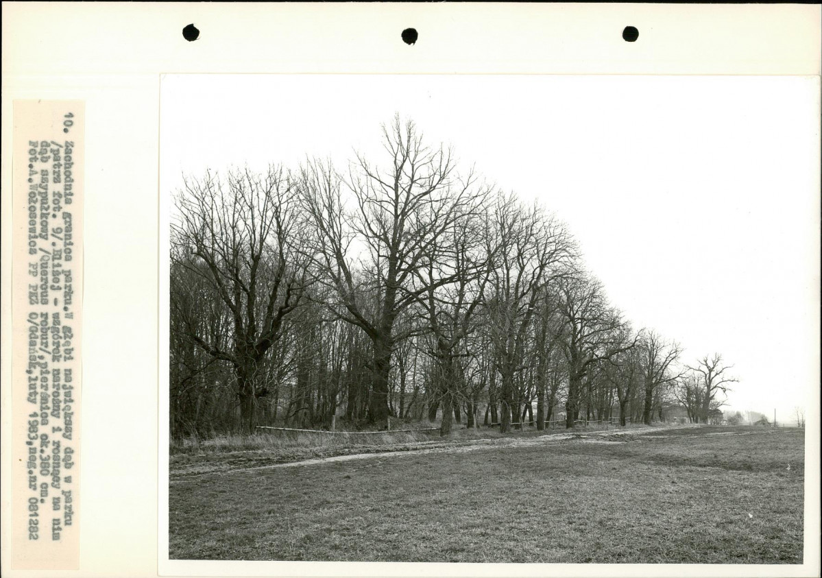 Ewidencja parkowa, skan nr 27