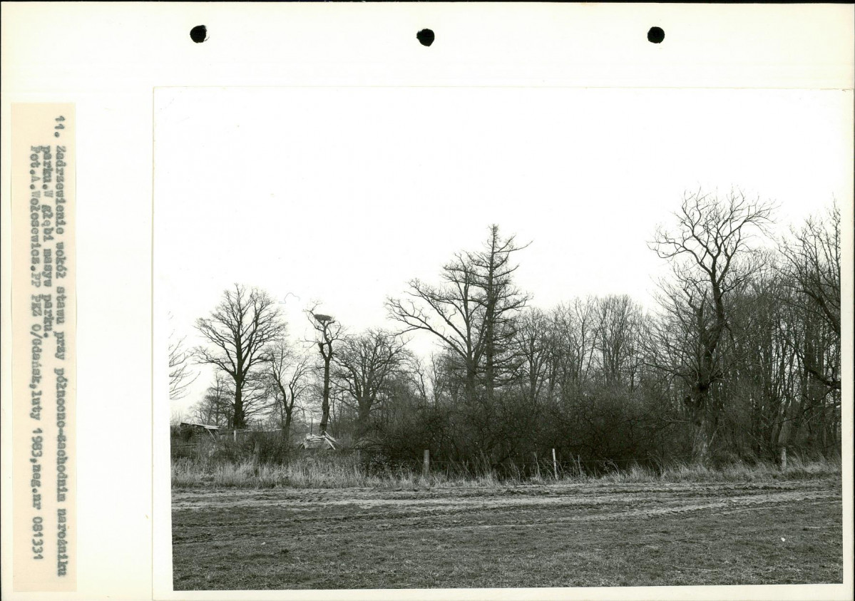 Ewidencja parkowa, skan nr 28