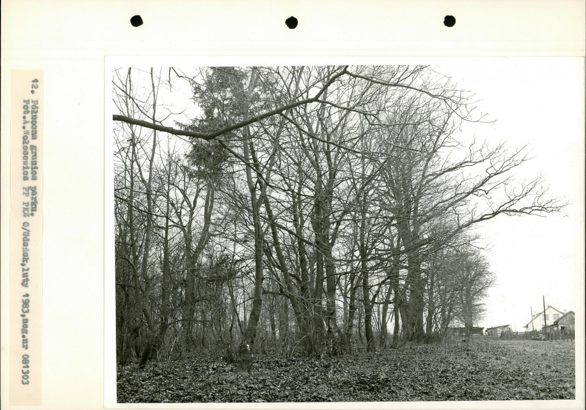 Ewidencja parkowa, skan nr 29