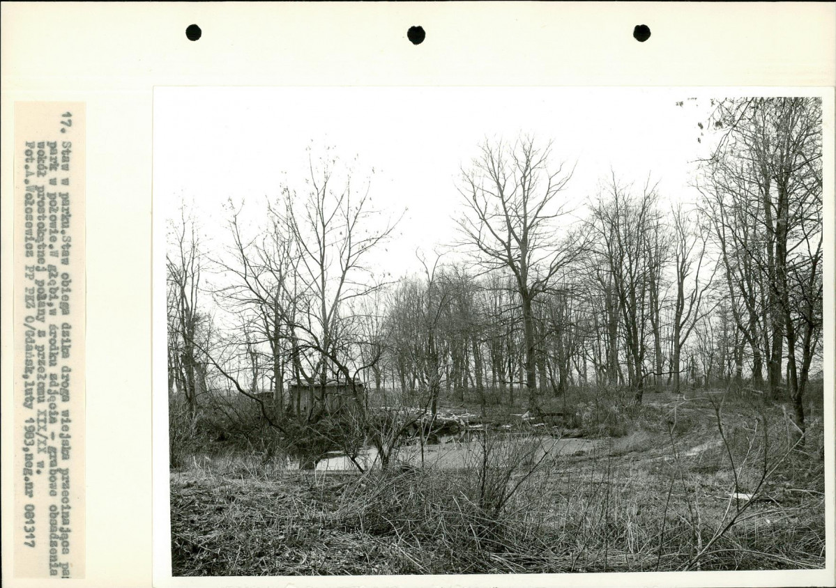 Ewidencja parkowa, skan nr 34