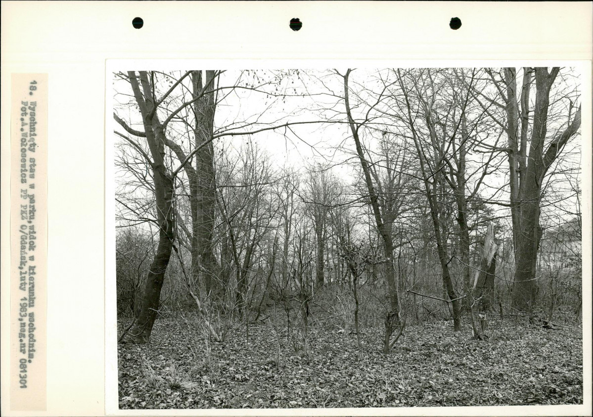 Ewidencja parkowa, skan nr 35