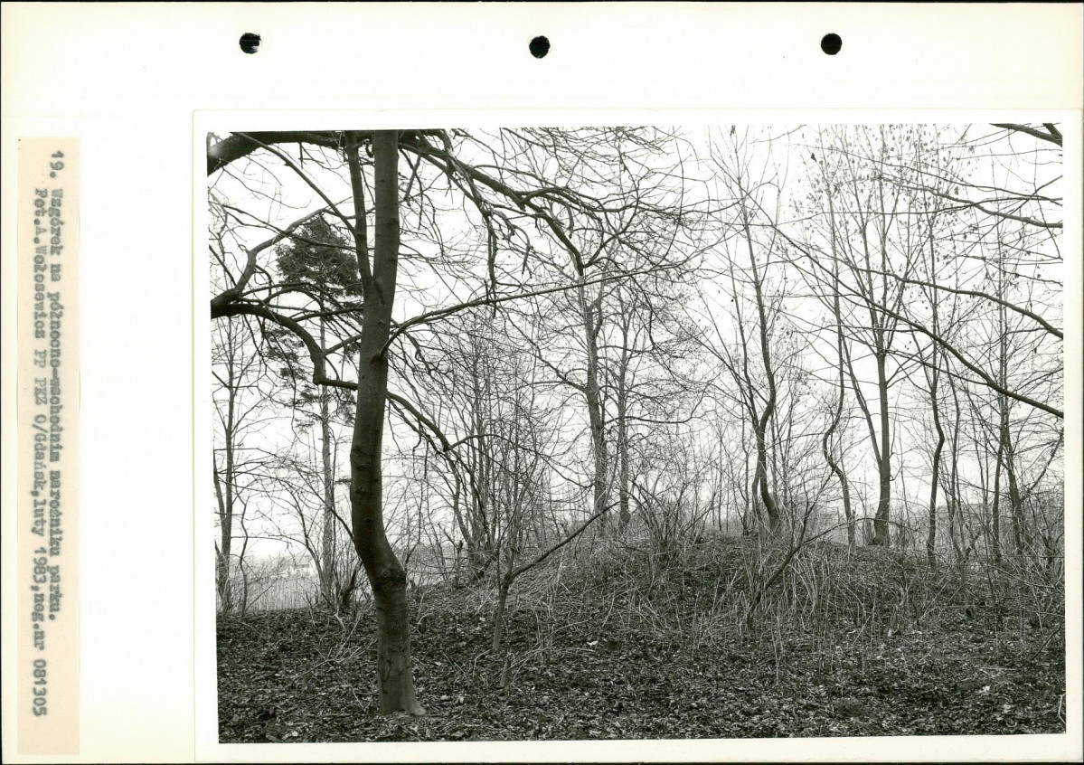 Ewidencja parkowa, skan nr 36