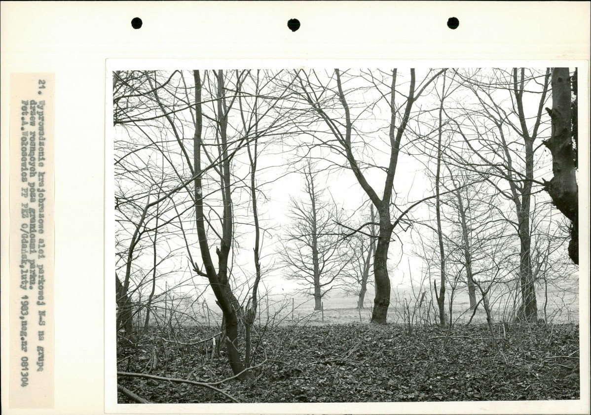 Ewidencja parkowa, skan nr 38