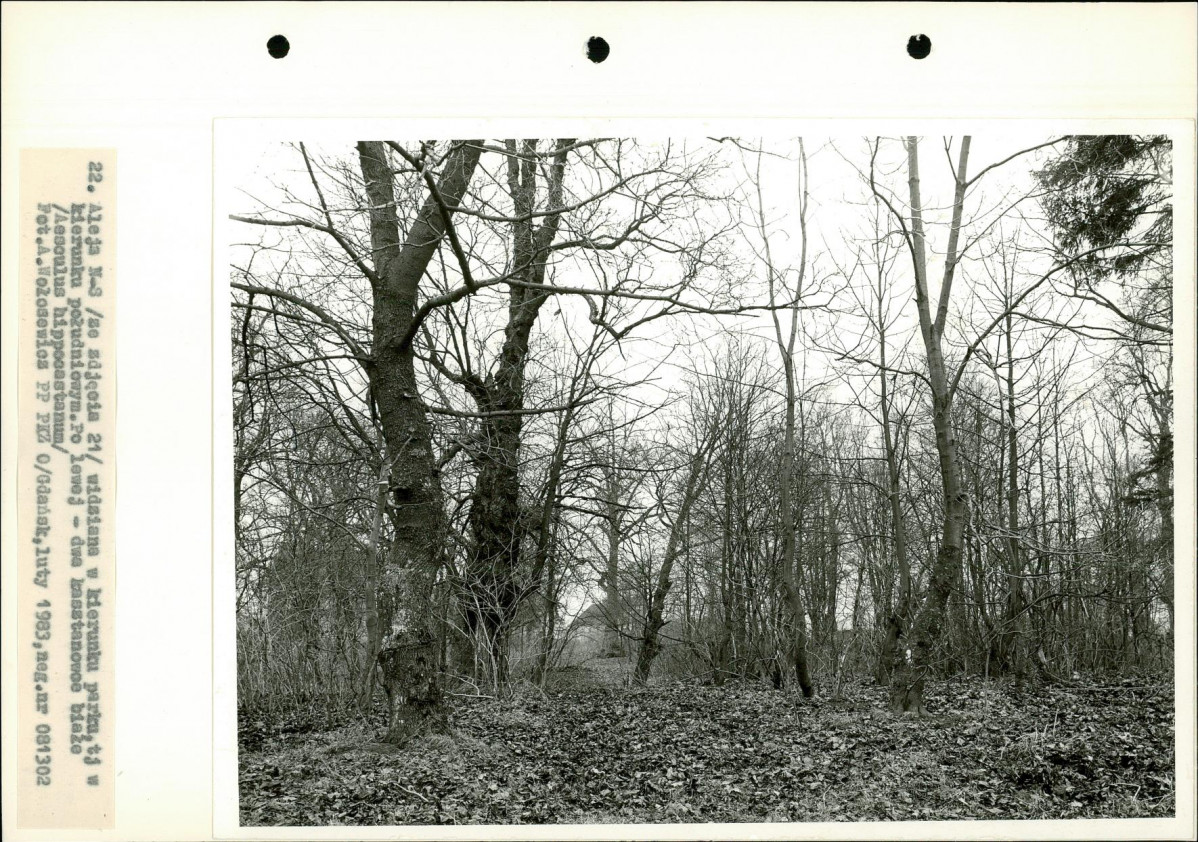 Ewidencja parkowa, skan nr 39