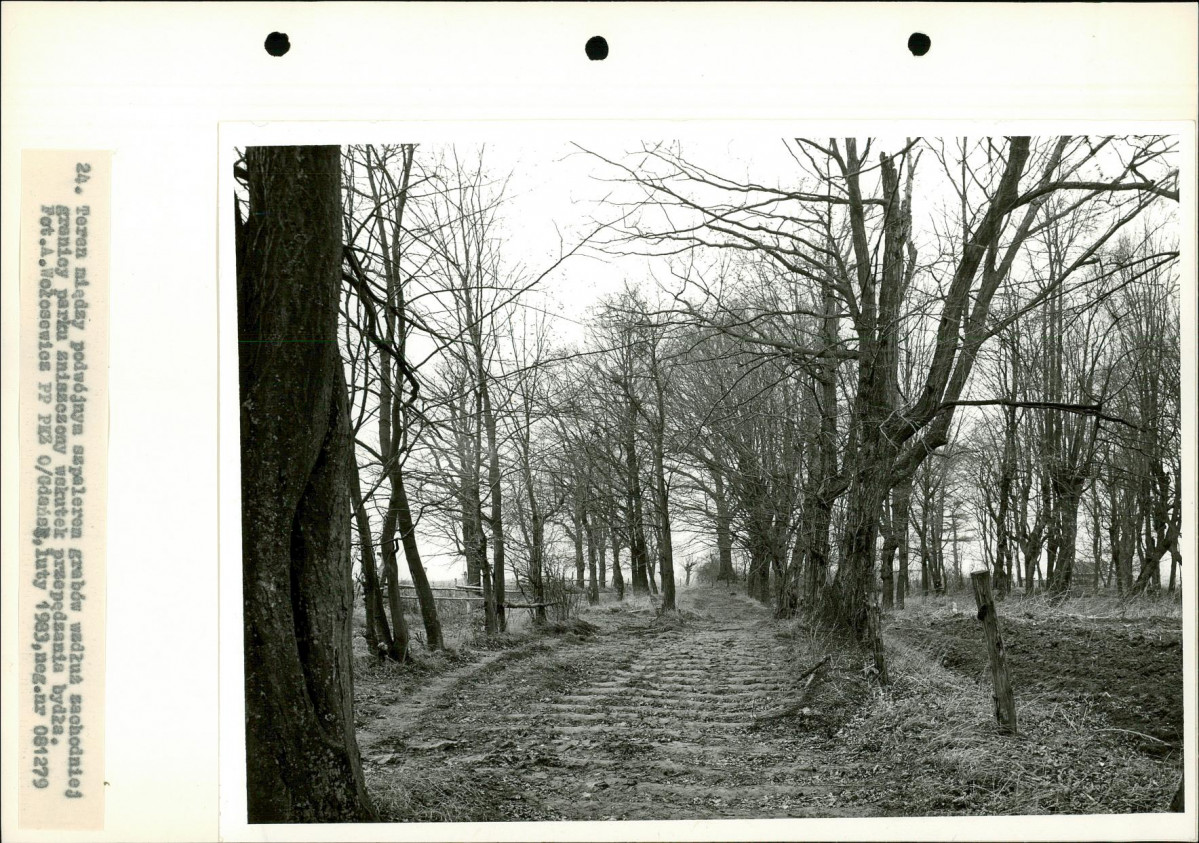 Ewidencja parkowa, skan nr 41