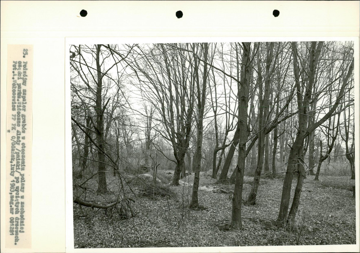 Ewidencja parkowa, skan nr 42