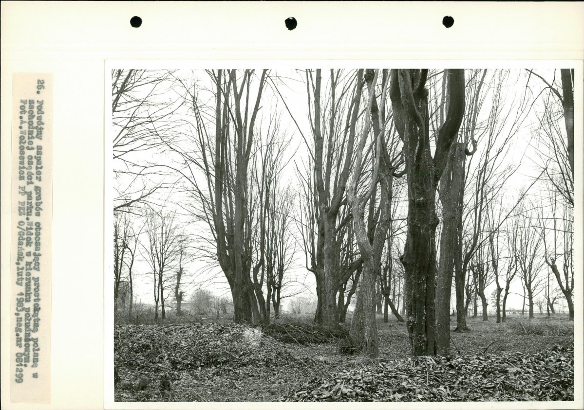 Ewidencja parkowa, skan nr 43