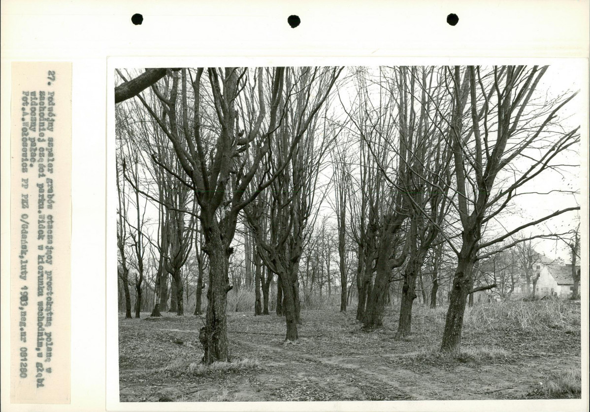 Ewidencja parkowa, skan nr 44