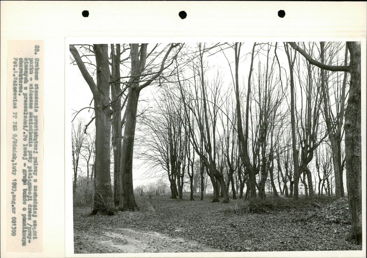 Ewidencja parkowa, skan nr 45