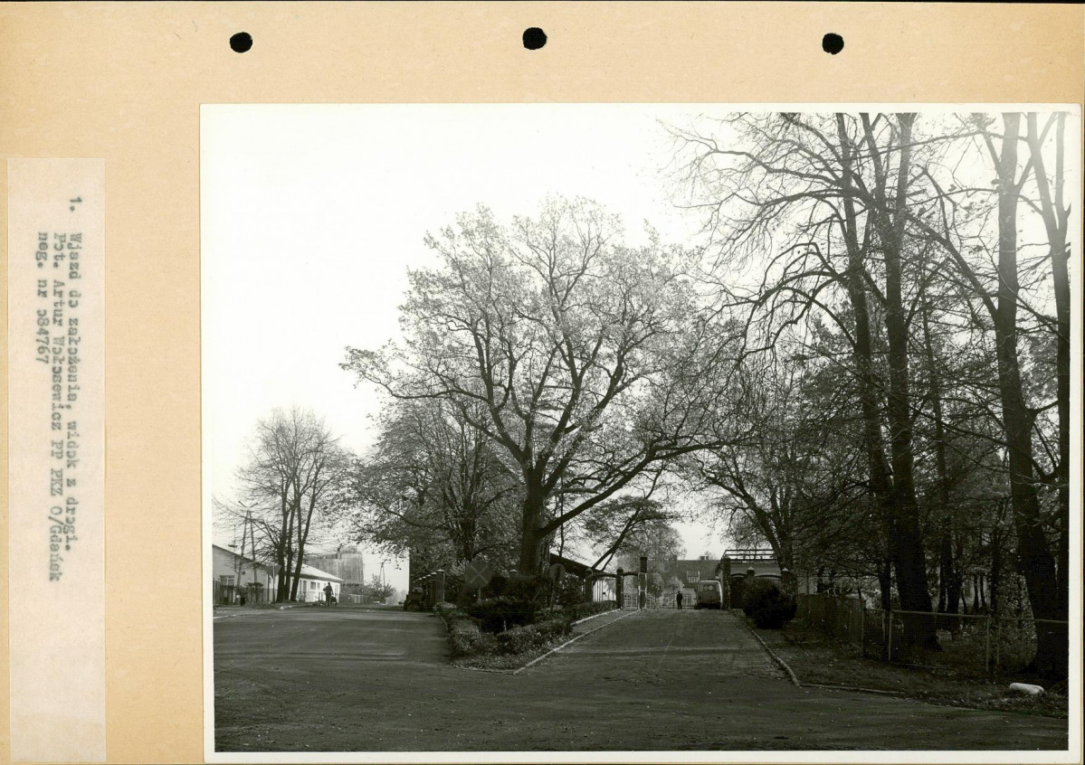 Ewidencja parkowa, skan nr 19