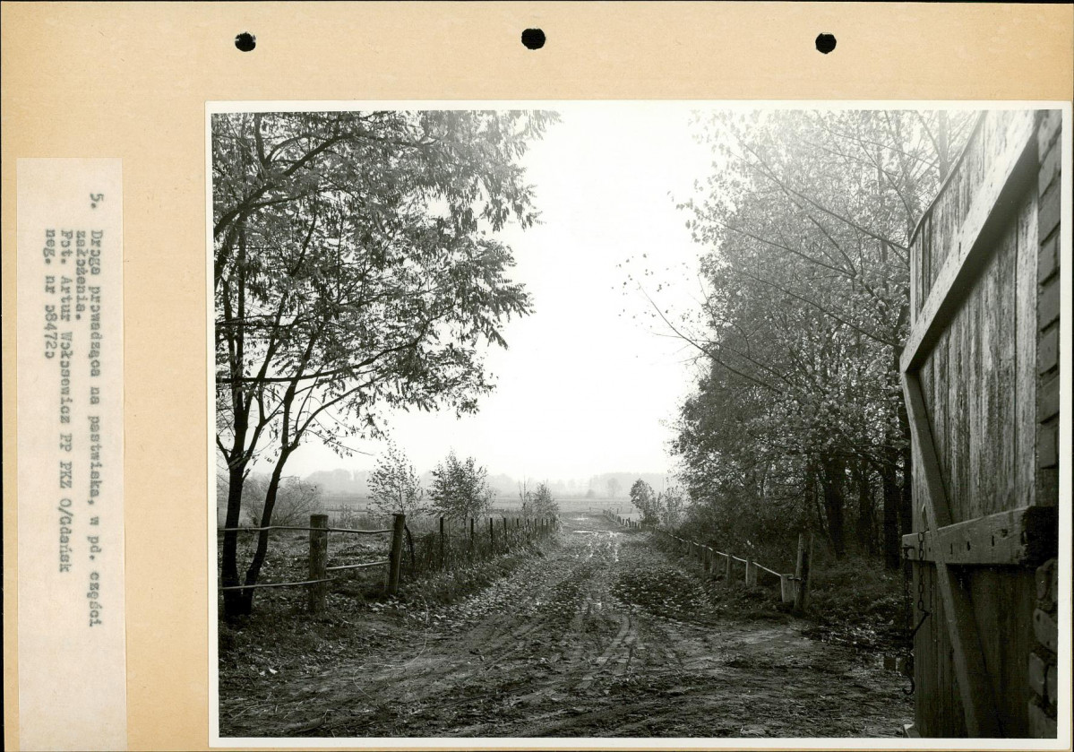 Ewidencja parkowa, skan nr 23