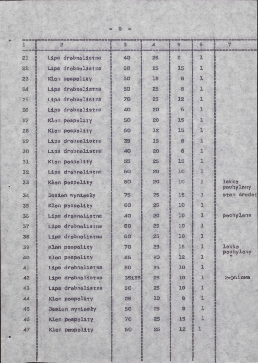 Ewidencja parkowa, skan nr 16