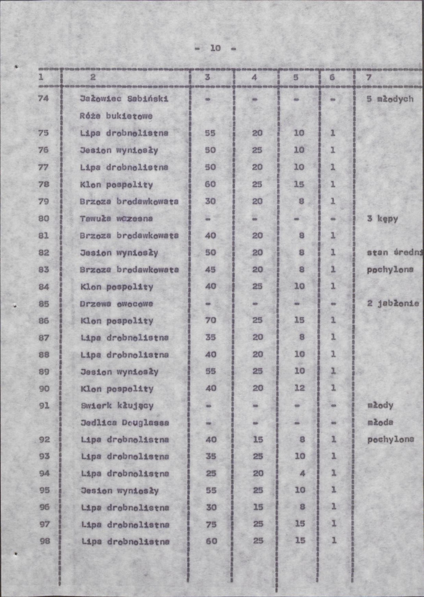 Ewidencja parkowa, skan nr 18