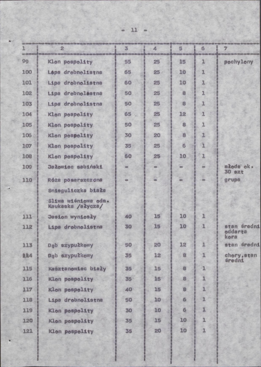 Ewidencja parkowa, skan nr 19