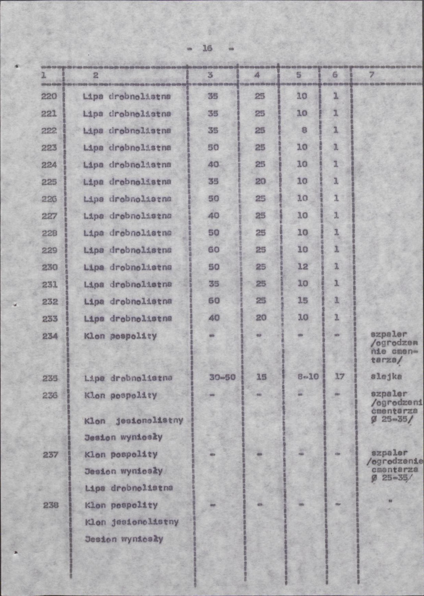 Ewidencja parkowa, skan nr 24
