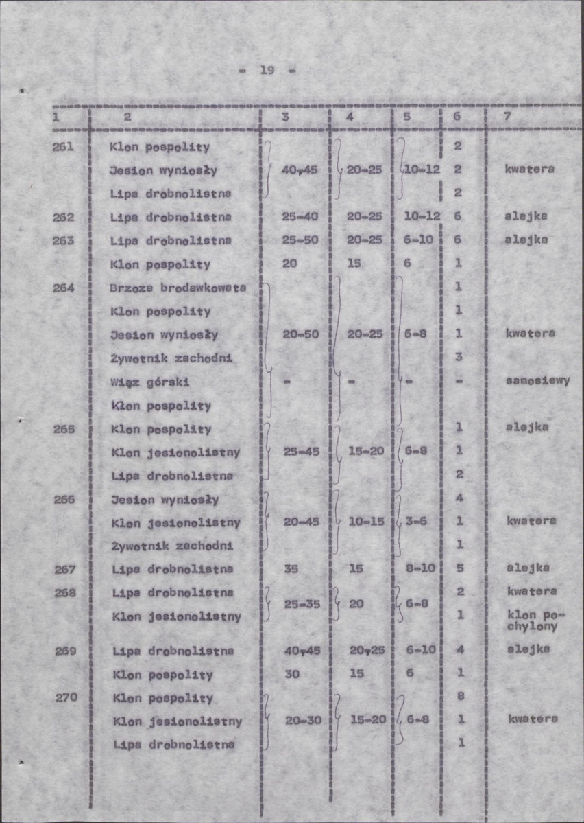 Ewidencja parkowa, skan nr 27