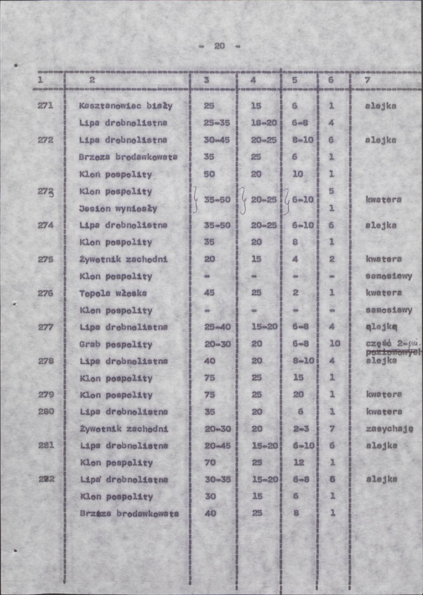Ewidencja parkowa, skan nr 28
