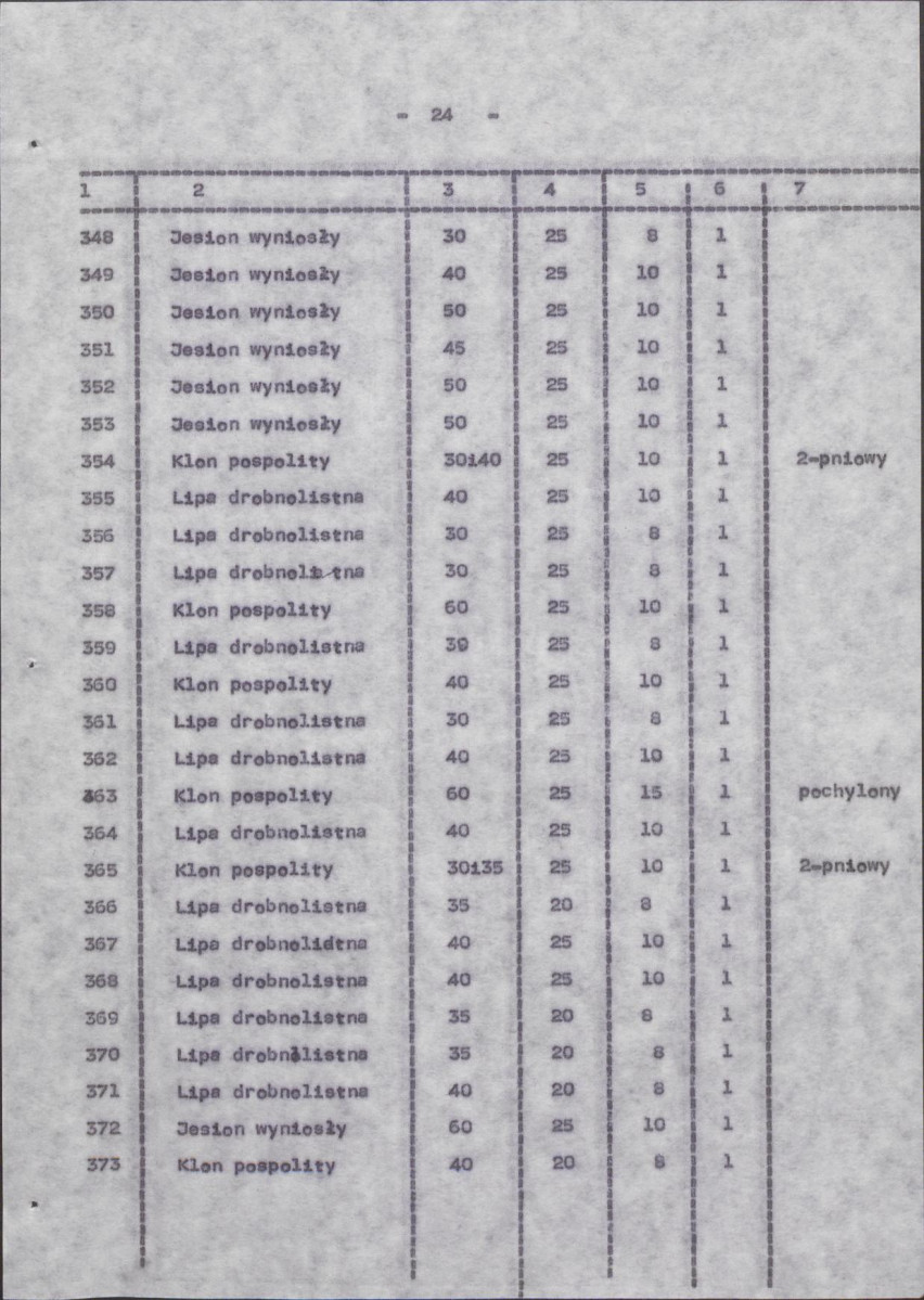 Ewidencja parkowa, skan nr 32