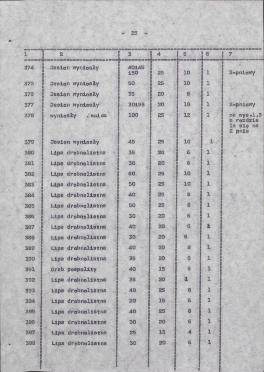 Ewidencja parkowa, skan nr 33