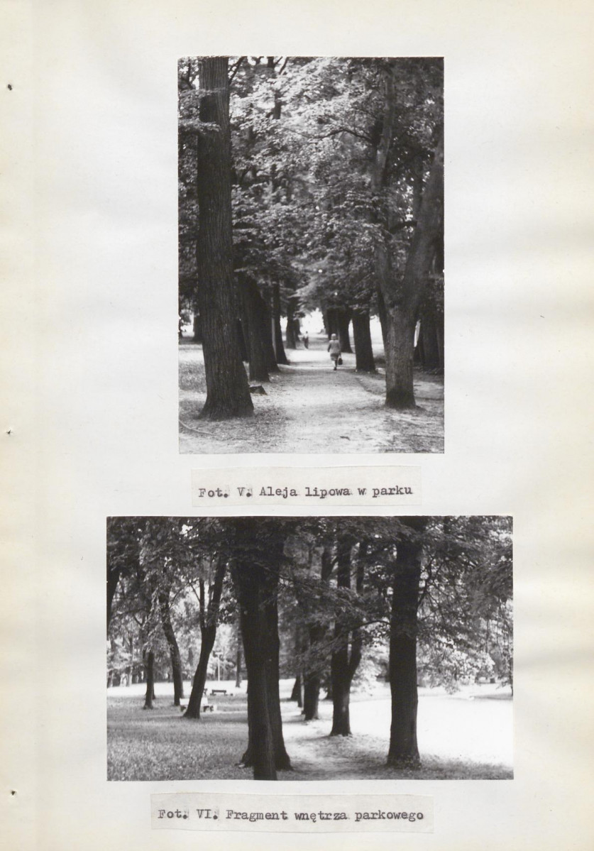 Ewidencja parkowa, skan nr 44