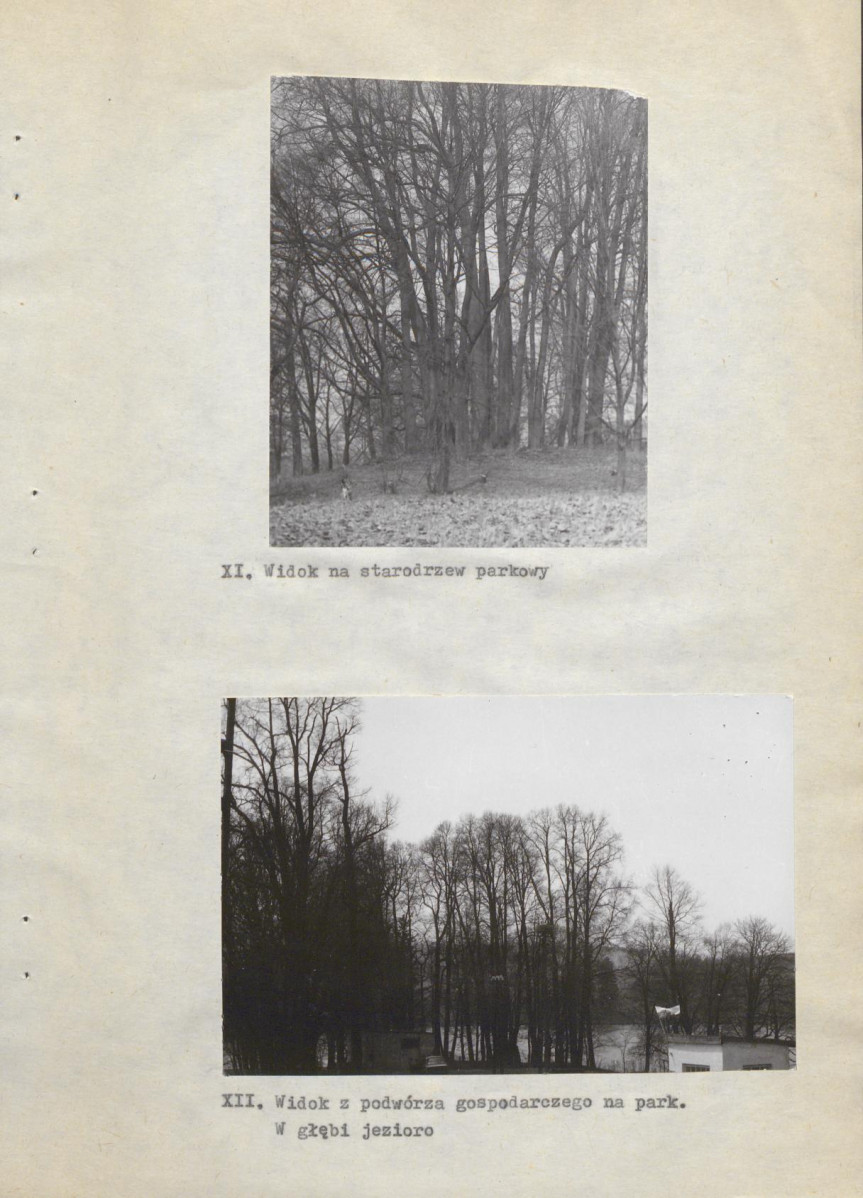 Ewidencja parkowa, skan nr 26